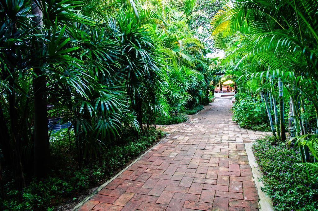 Baanpong Lodge San Kamphaeng Luaran gambar